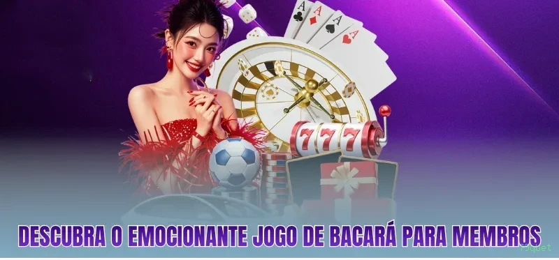 Suporte VIP 79qbet - atendimento prioritário